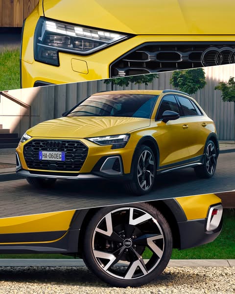 Audi Italia Meta ad example started 2026-04-29